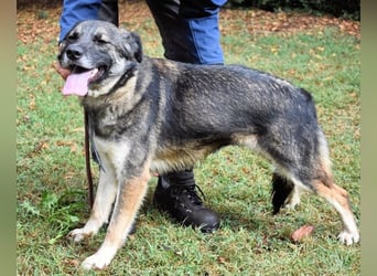 Silvana - im Eilschritt nach Hause?