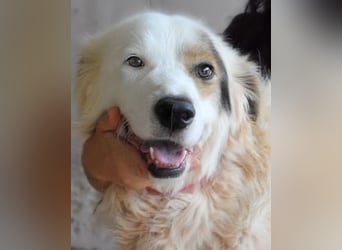 Bailoch - Zeig mir doch bitte...