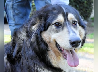 Oliverio - ohne Anklage hinter Gittern