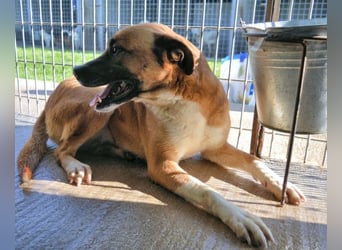 Sunitha - Drei Leben. Drei Chancen.