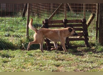 Life - Life will mehr vom Leben - und das zeigt er deutlich!