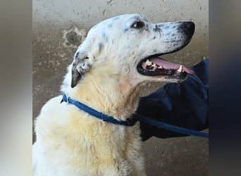 Arunny - aller guten Dinge sind drei