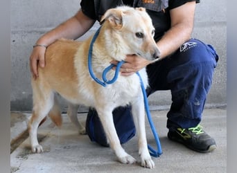 Addison - lange sitzen sie schon da und haben es schwer