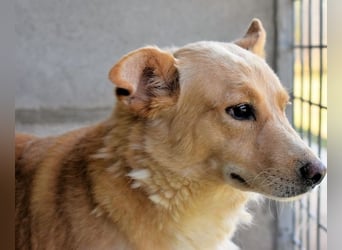 Ariana - lange sitzen sie schon da und haben es schwer