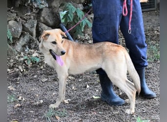 Lilyrose - als kleine Muschel ins Glück!