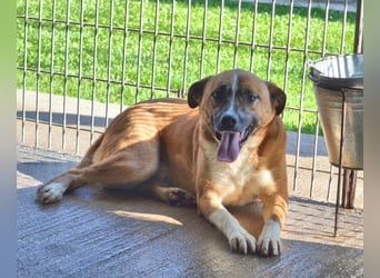 Sunitha - Drei Leben. Drei Chancen.