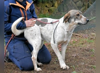 Helder - spricht für sich