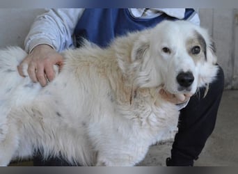 Bailoch - Zeig mir doch bitte...