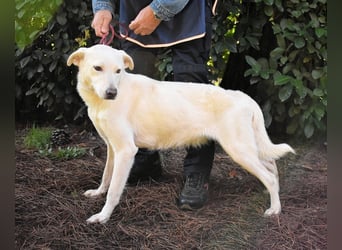 Dafnielle - Zukunft gesucht