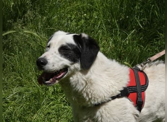 Marni - Dieses Herz hat schon zu lange gewartet