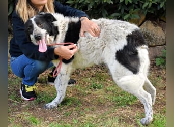 Jessie - Wer nicht neugierig ist, erfährt nichts