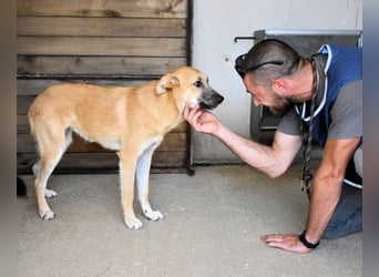 Osita - "Und wenn sie nicht weg sind.....