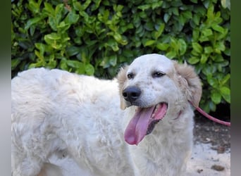 Kastore - Die Welt erkunden!