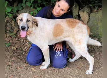 Solidea - 744 Stunden