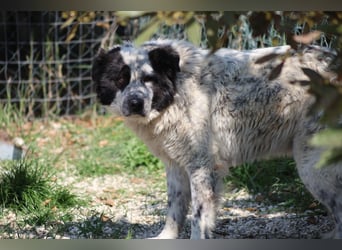Giulietta - manche Seelen brauchen einfach etwas länger