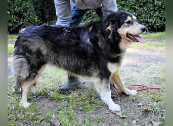 Oliverio - ohne Anklage hinter Gittern