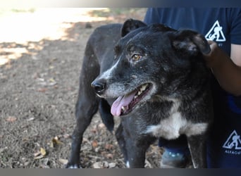 Elowen - eine Tänzerin im Mondlicht, bis die Sonne die Träume verjagt
