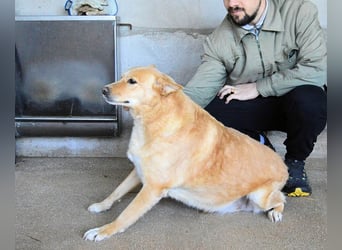 Ariana - lange sitzen sie schon da und haben es schwer