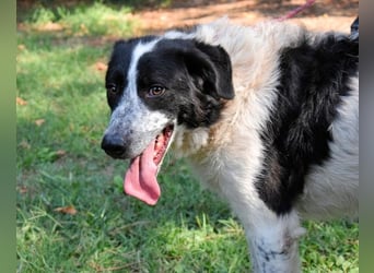 Jessie - Wer nicht neugierig ist, erfährt nichts