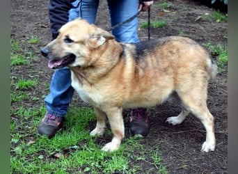 Kairo - möchte einfach nur genießen