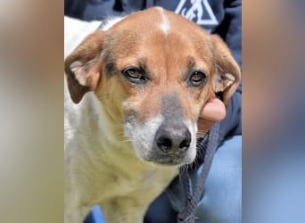 Kamyll - Findet er Sie...