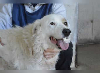 Bailoch - Zeig mir doch bitte...