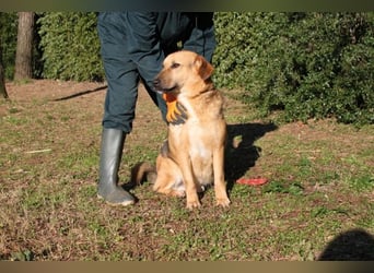 Kairo - möchte einfach nur genießen