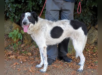 Jasmine - Wer nicht neugierig ist, erfährt nichts!