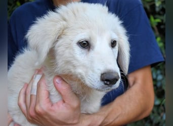 Franky - bereit für das Abenteuer Leben