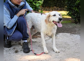 Kastore - Die Welt erkunden!