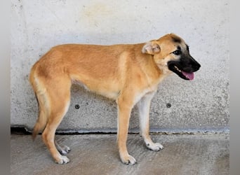 Olympia - "Und wenn sie nicht weg sind....