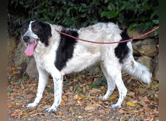 Jessie - Wer nicht neugierig ist, erfährt nichts