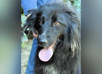 Settimio - Ich bin da, jetzt läuft's!?