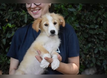 Marula - ...und Mama konnte es dir nicht zeigen