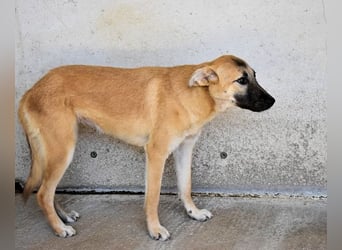 Olympia - "Und wenn sie nicht weg sind....