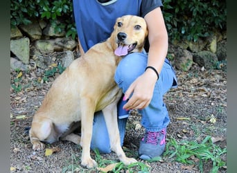 Lilyrose - als kleine Muschel ins Glück!