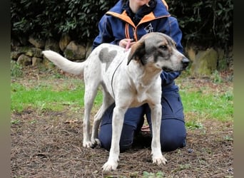 Helder - spricht für sich