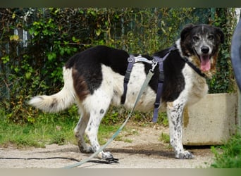 Cambiamento - lasst uns sein Leben verändern