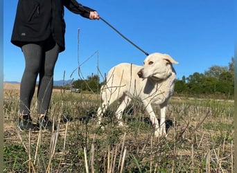 Patty - Vorsichtig auf den Pfoten, groß im Herzen