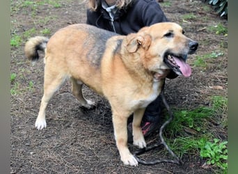 Kairo - möchte einfach nur genießen