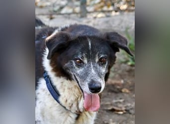 Cambiamento - lasst uns sein Leben verändern