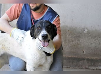 Lorianne - Diplomierte Zuhörerin sucht Sofa & Sonne
