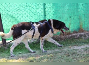 Cambiamento - lasst uns sein Leben verändern