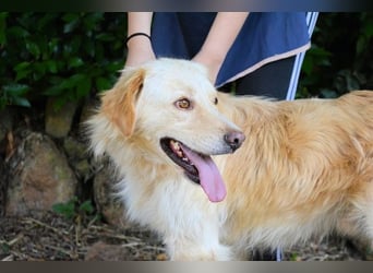 Rodman - läuft sich die Seele wund