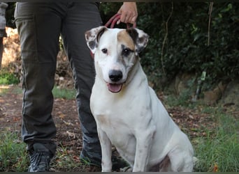 Argo - hungrig auf Leben und Er-Lebnisse