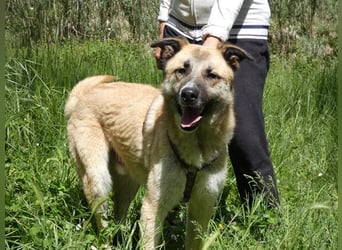 Life - Life will mehr vom Leben - und das zeigt er deutlich!