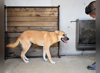 Osita - "Und wenn sie nicht weg sind.....