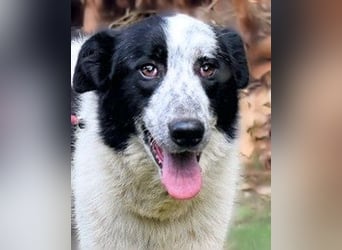 Jasmine - Wer nicht neugierig ist, erfährt nichts!