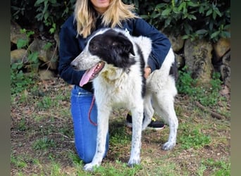 Jessie - Wer nicht neugierig ist, erfährt nichts