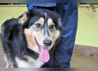 Oliverio - ohne Anklage hinter Gittern